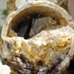Fatberg prevention starts with education and community outreach.