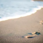 Easy ways to live an eco-friendly lifestyle.