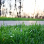 Start living an eco-frendly lifestyle today.