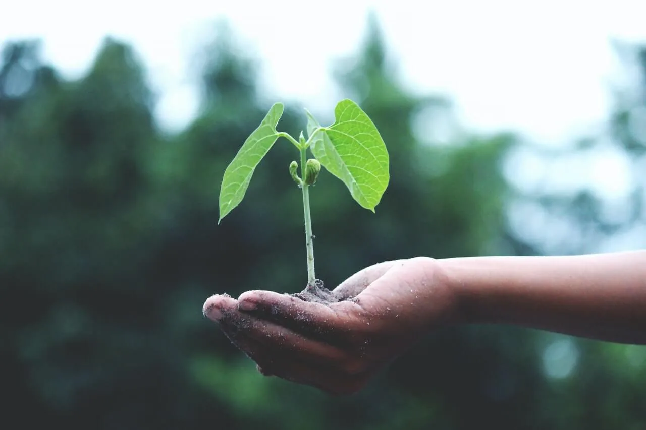 Earth Day 2020 theme is climate action.