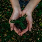 Turn 2021 into your year for environmental action.