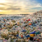 Discarded paper towels result in 254 million tons of paper towel trash every year. The best choice for eco-conscious consumers are reusables.